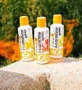 Top Secret - Carnitine Igniter