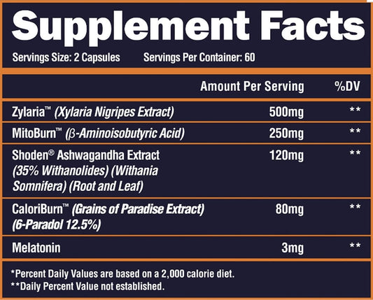 Alpha Lion - Night Burn